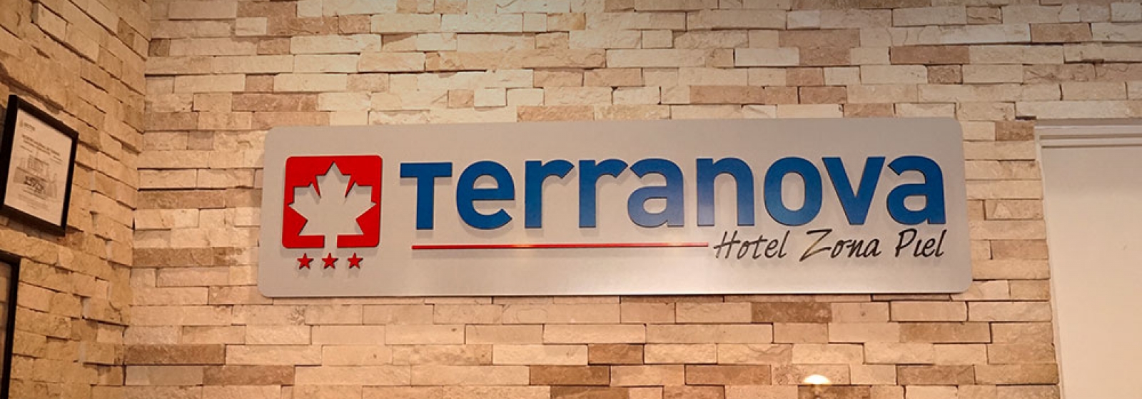 Hotel en León Guanajuato México - Hotel Terranova - Hoteles en Leon